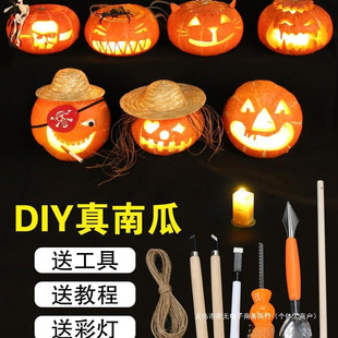 ��ͯ�ֹ�������Ϲ��f�}���Ϲϟ��Ϲ�Ͱ�b��\���߲��ϰ����羳