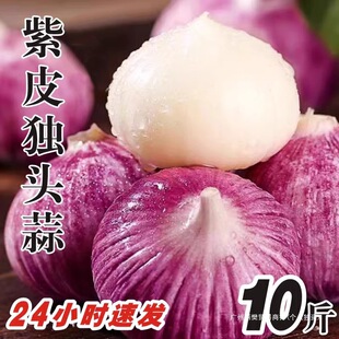 ���r����������5�A�^���骚���߲ˮ����ª��^������^����Ƥ�t