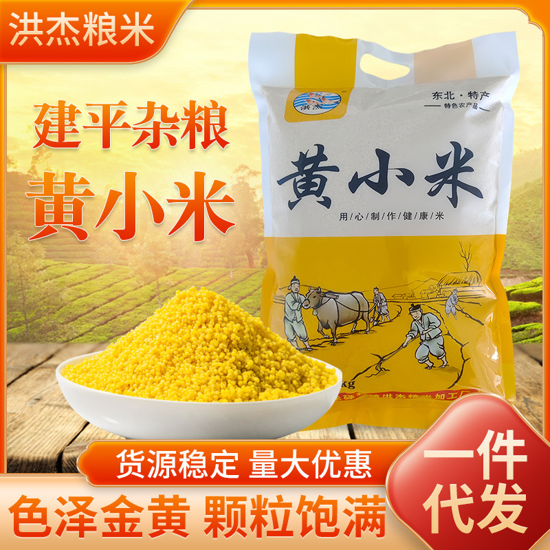 Yellow Millet 2.5kg New Rice Farm-Produced Northeast Millet Source Manufacturer Breakfast Millet Porridge Stomach Nourishing Whole Grains