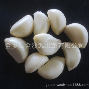 �S�ҹ������r����  ÓƤ����  �r�񃞻�