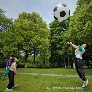 Large Beach Ball Adult Water Football Inflatable Ball Swimming Ball Toy Water Polo Giant Inflatable Toy