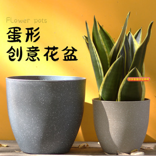���ÈA�η�ˮ�໨���¼�õ�彑��Ƥ�m�N�������ϴ����̨����