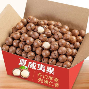 ������؛�����Ĺ����w������ζ����Թ��ɹ����e��ʳɢ�b���l����