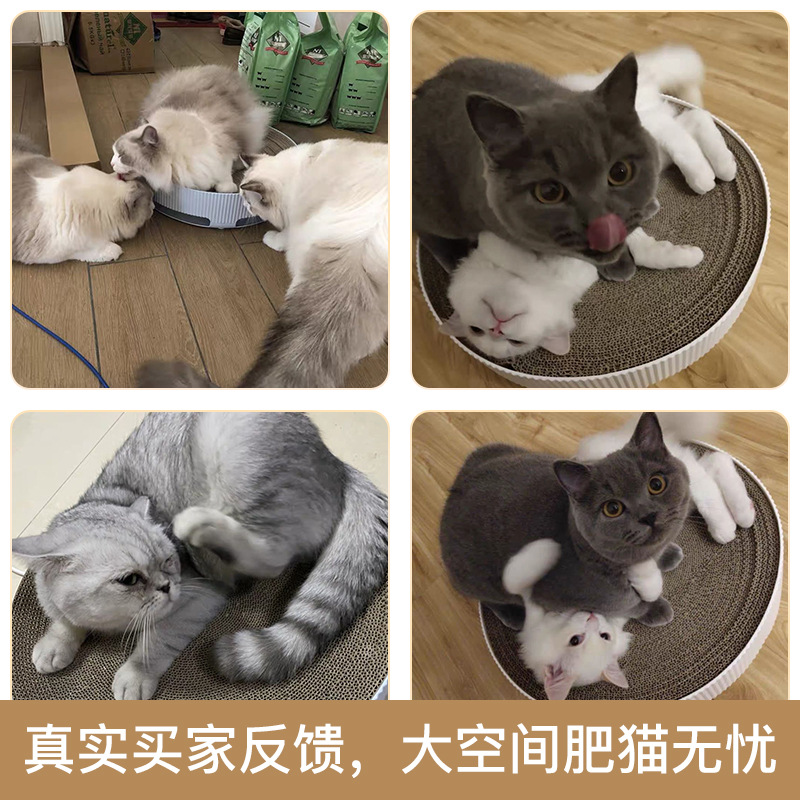 Tablero de rasguño de gato redondo al por mayor nido de gato tablero de garra de gato sin astillado papel corrugado resistente a los arañazos resistente al desgaste garra gato suministros de juguete