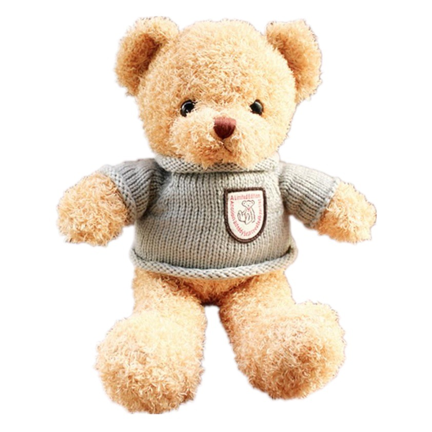 Nuevo logotipo estrella voz mensaje grabación oso peluche acompañar evento regalo de vacaciones