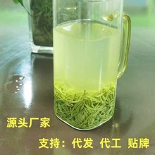 厂家直销  信阳毛尖新茶雨前早期优品绿茶散装茶叶 批发