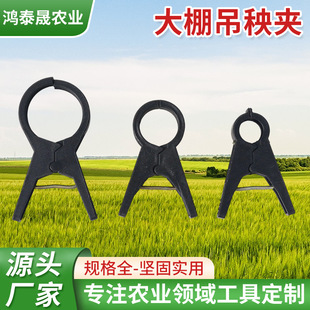 �F؛���l�������A�S�Ϸ������������o���̶��ܽ����Aֲ��