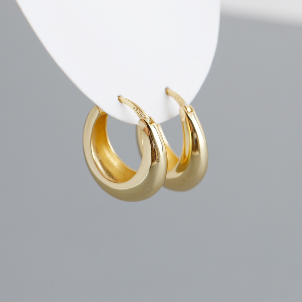 Fashion Circle Sterling Silver Plating Earrings 1 Pair