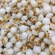 ��Ȼ���������؈צ�ִ�������ɢ��̿��؈צDIY����С�������