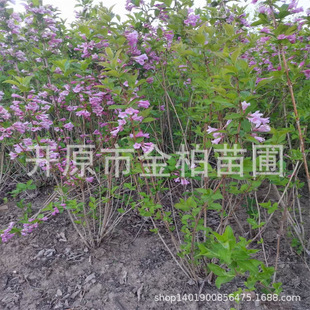 �ļ��\��������ľ�|���ͺ��\����ͥԺ�^�p�����ļ��\��С��