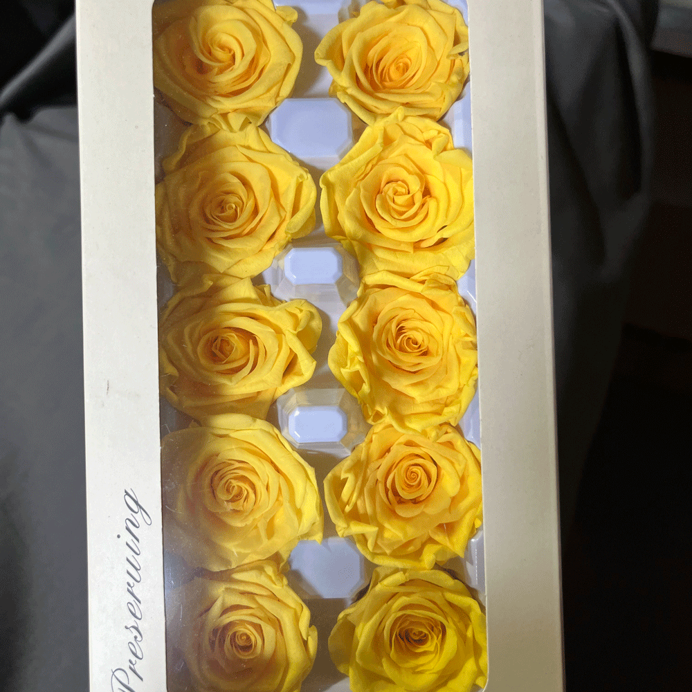 Rosa Preservada B+ de 3-4 cm, Ramo de Flores Reales para DIY, Fabricante de Yunnan, Venta al por Mayor, Material Floral para el Día de San Valentín, Flores Secas 520