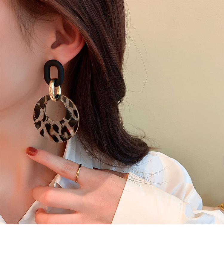 1 Pair Retro Leopard Alloy Women's Drop Earrings display picture 6