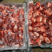 ���|���x�i���Y�i��ǟ������ð�������C����ĥ�����r�i���^