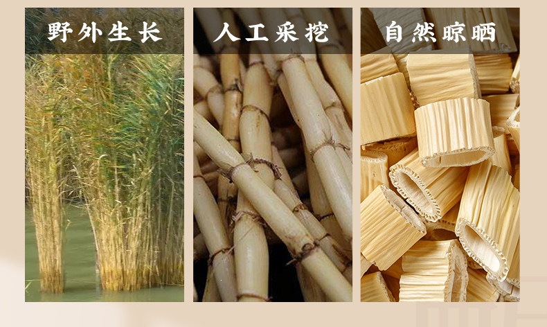 Dried Reed Rhizome Lu Gen 500g 2024 Hebei Harvest Cut Sections for Tea and Decoction quality and texture