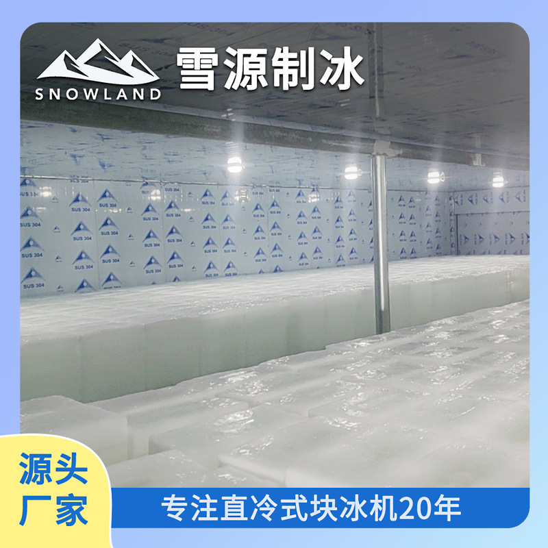 Xuanyuan Snowland 5 Tons Small Direct Cold Block Ice Machine Industrial Ice Machine Commercial Ice Brick Machine Block Ice Equipment