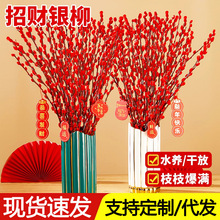 银柳代发真花鲜枝客厅红色干枝带花苞摆件室内水培绿植物年宵花卉