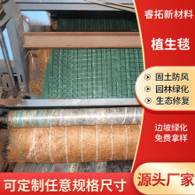 ����ֲ��̺߅�¾G������̺���B�ޏ�ֲ�����L̺ɽ�w���·��oֲ��̺