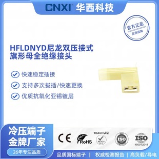 Cnxi Huaxi Technology Fldnyd Double-Pressure Female Fully Insulated Nylon Flag-Type Spring Cold-Pressed Terminal Block Manufacturer