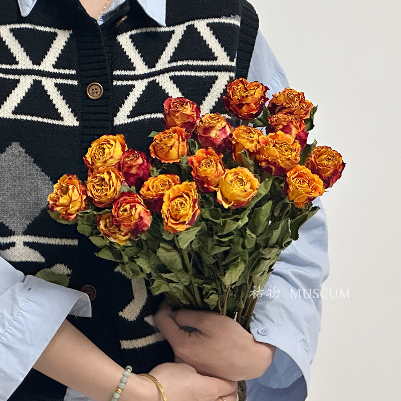 단샤 19 하드커버 모델 [싱글 헤드 확대 장미]