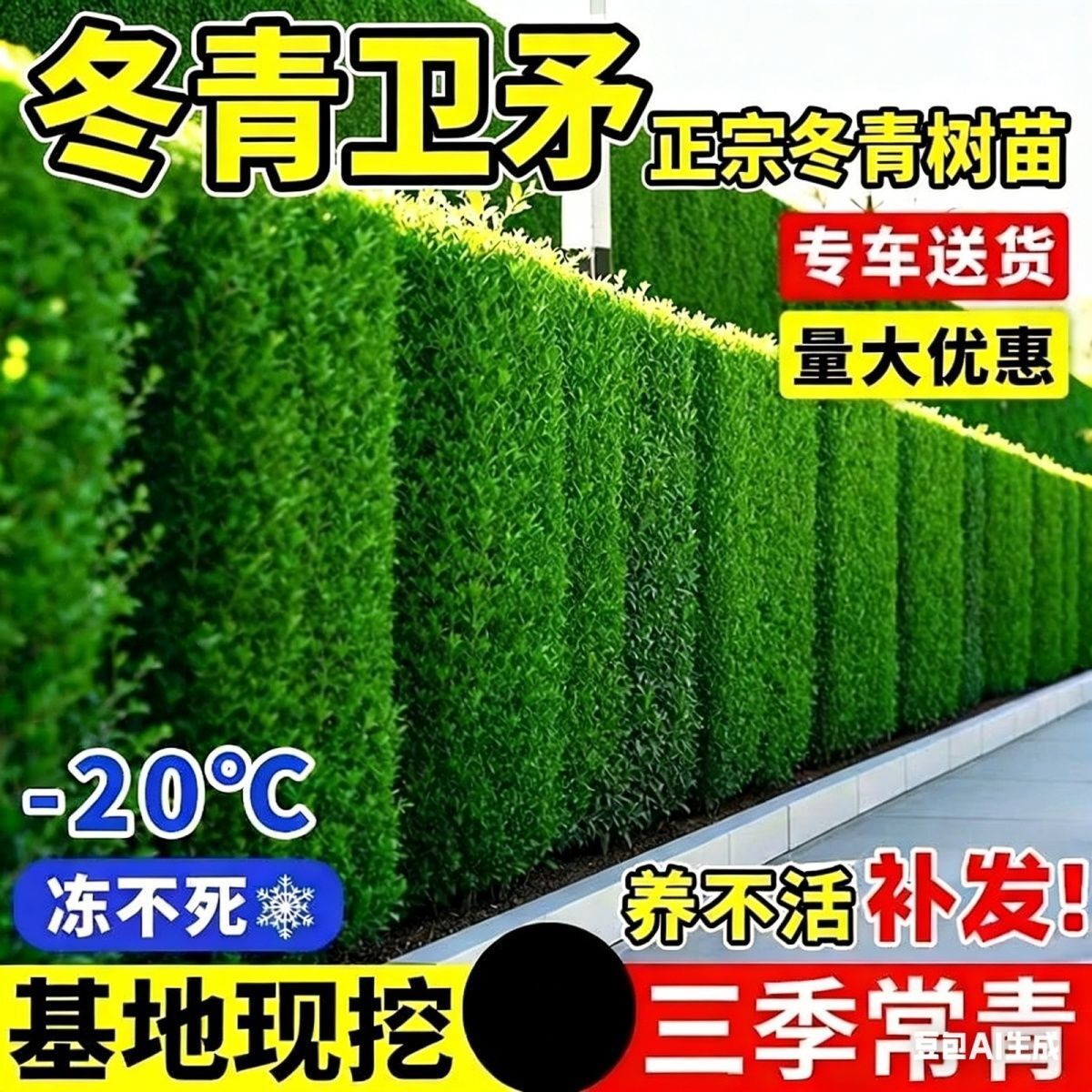 �������編���������S��ֱ���h�ʠ�ͥԺ����ֲ���ļ������ͺ��G�h