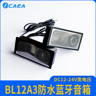 Embedded speakers, induction smart switch key, 12v, 24v, bluetooth