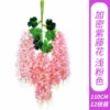 Encrypted Wisteria Flower - Light Pink