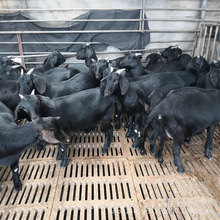 Ŭ�ȁ���ɽ���Bֳ�����ۻ���_����ɽ��a����Ų��d��С����