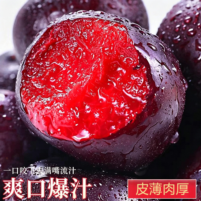 Premium Flavored Rose Plums, Fresh Rose-Scented Plums, Black Plums, One-Piece Delivery, Hand-Picked Red-Fleshed Rose Plums Supply Premium Flavored Rose Plums, Fresh Rose-Scented Plums, Black Plums, One-Piece Delivery, Hand-Picked Red-Fleshed Rose Plums Supply