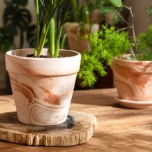 �t�ջ���t�������бPԭ�{�؟����������m����ˮ͸�������