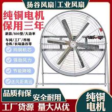 扬谷扇工业岗位降温强力风扇风机养殖场大功率强风厂房通风垒德株