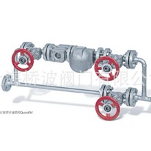 ��GESTRA��˹����QuickEM ϵ����ˮģ�K������ˮ�y