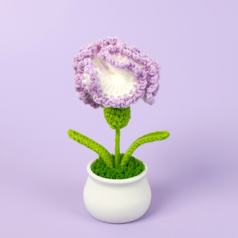 Carnation Pot - Gradient Purple