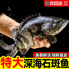 ʯ���~�r�����Ұ��������~�ϻ�����đ���O�ϻ��ߺ��rˮ�a