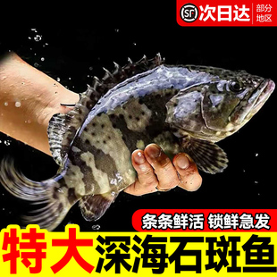 ʯ���~�r�����Ұ��������~�ϻ�����đ���O�ϻ��ߺ��rˮ�a