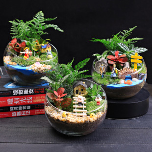 diy����15cm�п�̦�\΢���^�����ⲣ�������Bƿ�Ӕ[���YƷ�����b