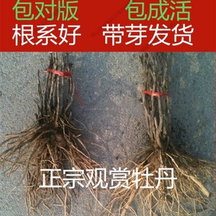 ����^�pĵ���������4-7��֧�ذ���ļ��_����������ͥԺ����