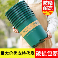 花盆塑料树脂多肉小绿萝大号加仑盆栽阳台桌面种植加厚耐用带托盘