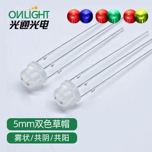F5/5MM straw hat fog double color red green red blue red green in-line LED lamp bead common yin and common yang luminous tube