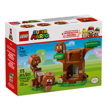 LEGO �ָ߳��������ϵ�� 71433 �����������ֳ���Ů��ƴ���ľ
