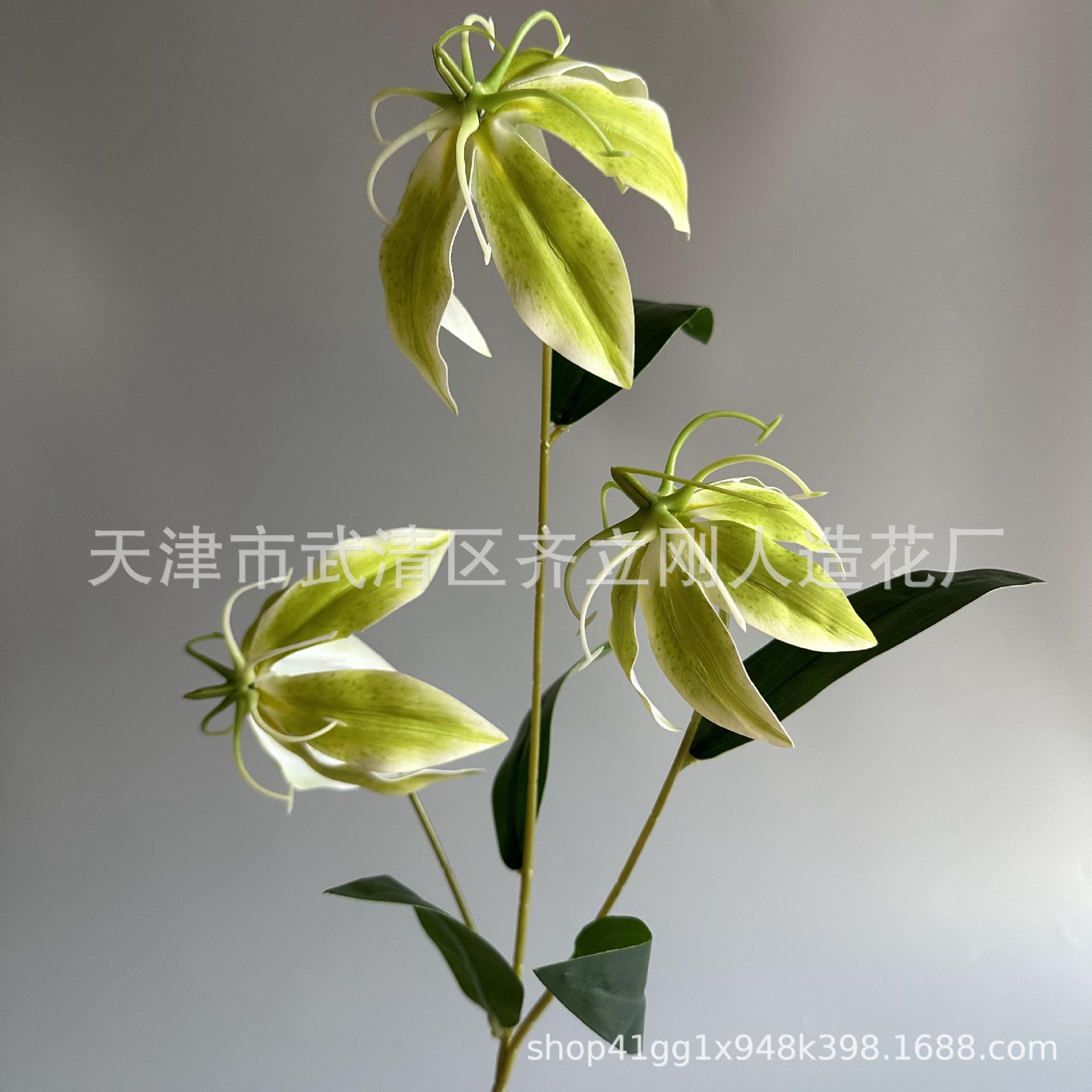 12호