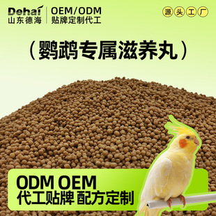 ���S���l�B�Z�W�^���B�����P�W�^�Zʳ��ϻ���B�Z�W�^�Zʳ�M؛