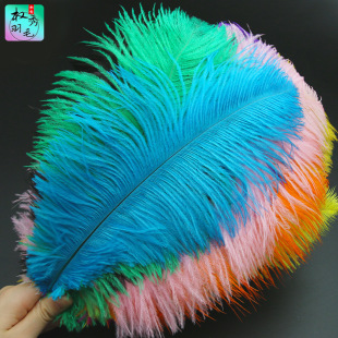 �S�ҹ������|Ⱦɫ��ɫ30-35cm�r�B��ë �Ҿ��b廨��c�r�B��ë