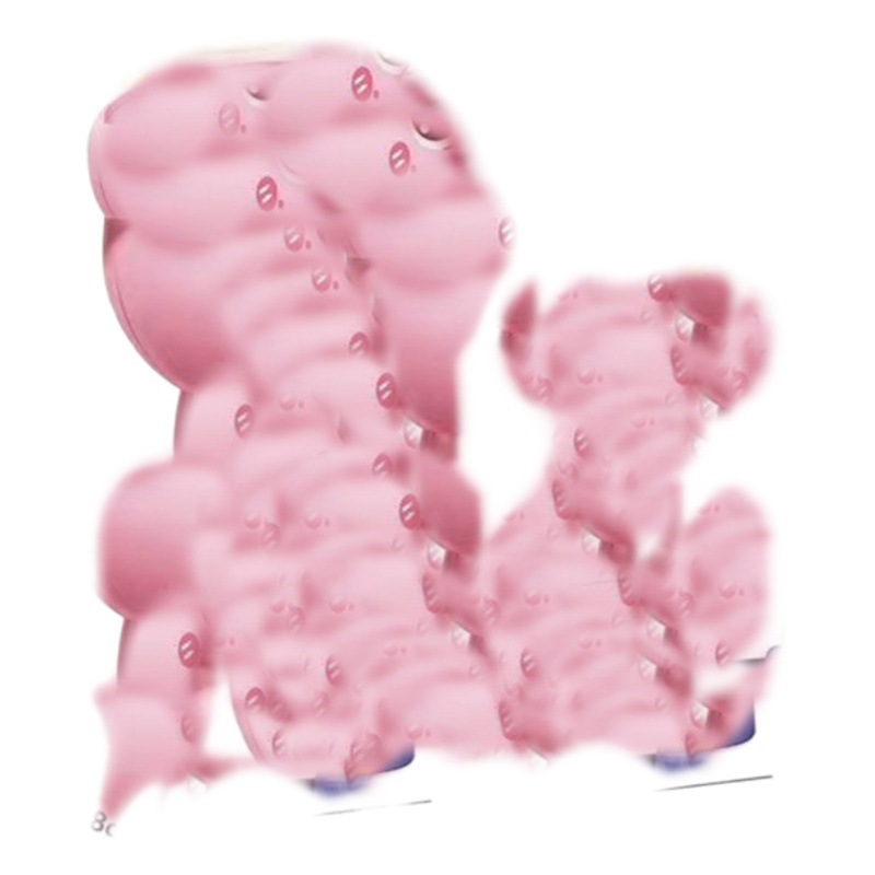 Platillo volante de dinosaurio para niños transfronterizo interacción entre padres e hijos Lanzamiento de pie de libélula de bambú al aire libre disparado Frisbee niños y niñas Juguetes