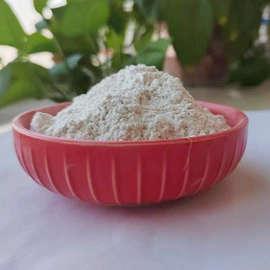 其他非金属;硅藻土;麦饭石