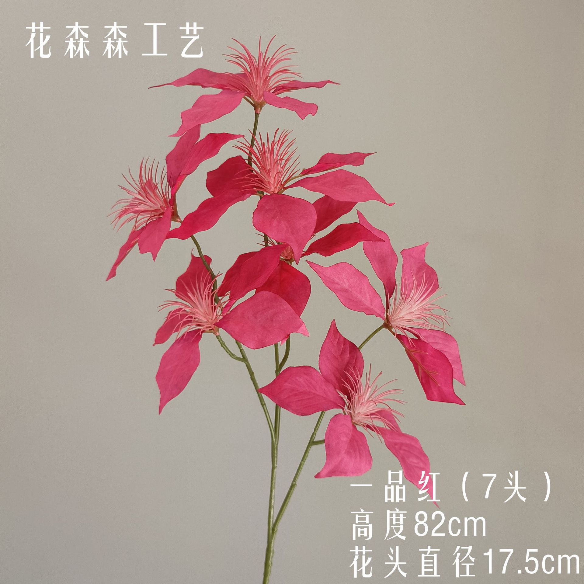 포인세티아 115221