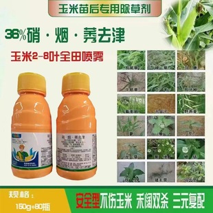 36%����ݬȥ�����ǲ�ͪ���׻�¡���׺̱��� ��~������ó��݄�