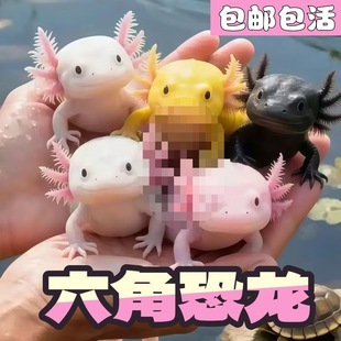 ���ǿ���ϔ����~��ˮ�~�^�p�~�ԁ�ˮ������~������B��ˮ����