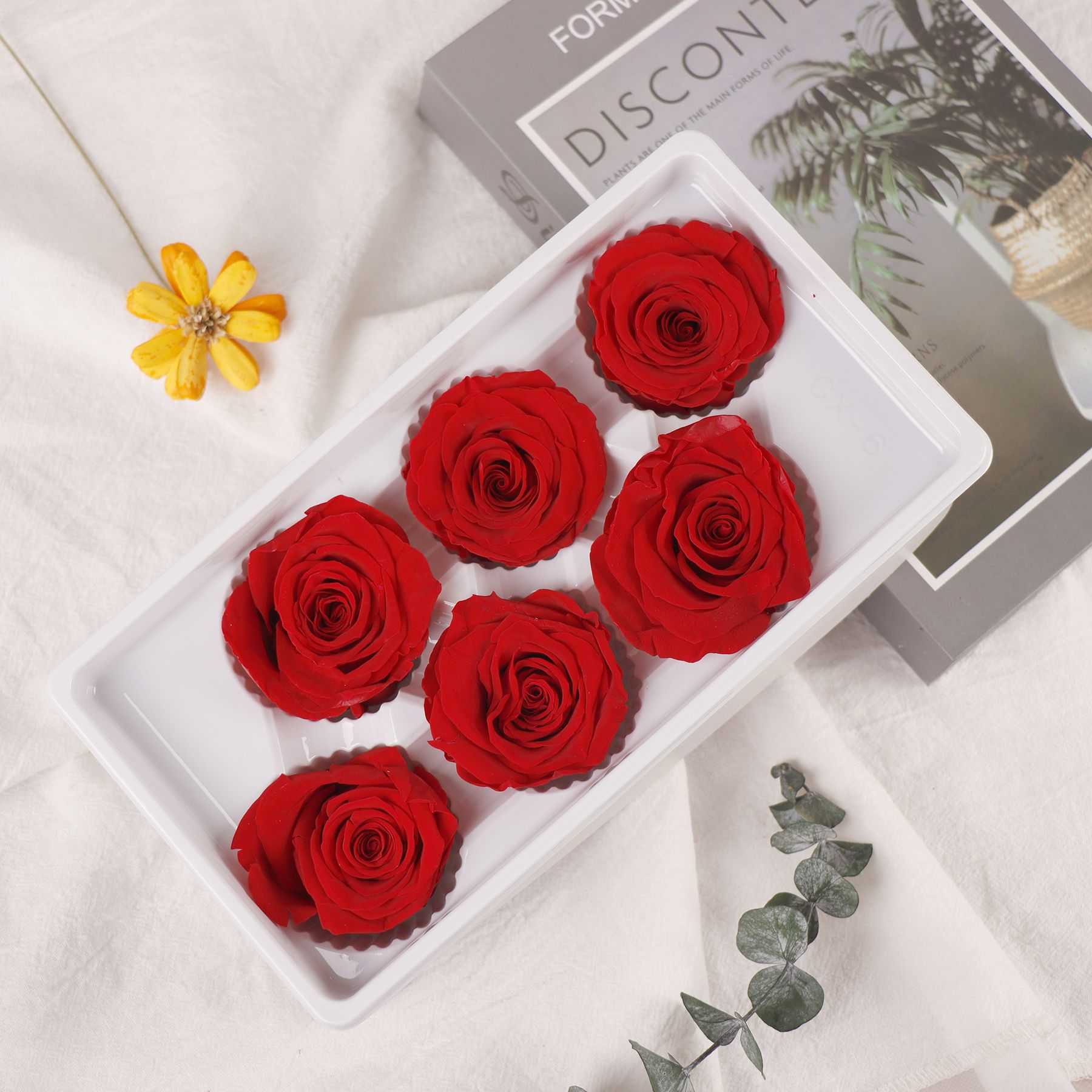 Flor eterna Rosa B-clase cabeza de la flor 5-6cm Día de San Valentín regalo ramo de flores flor eterna venta al por mayor DIY