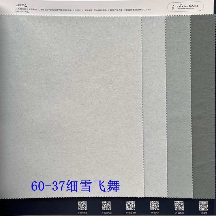 60-37 얇은 눈이 날아다닌다