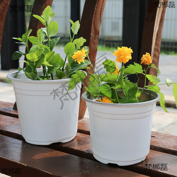 Two-color white disposable plastic flowerpot
